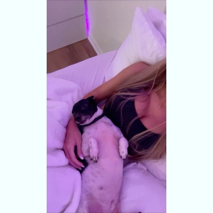 ���� ��  �������� �������� � ��� ���������,���� ���